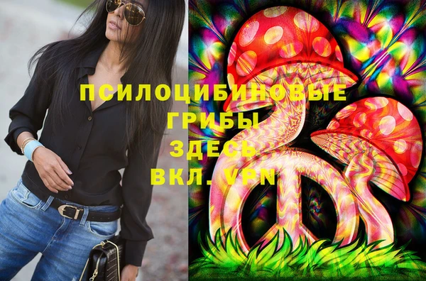 ПСИЛОЦИБИНОВЫЕ ГРИБЫ Алзамай