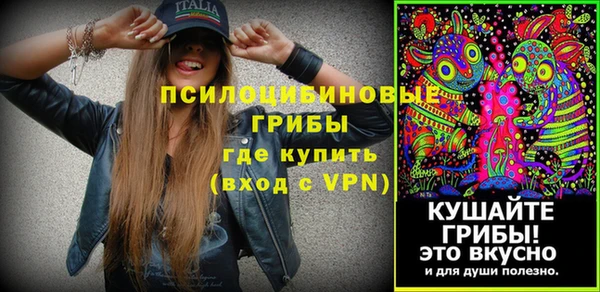 ПСИЛОЦИБИНОВЫЕ ГРИБЫ Алзамай