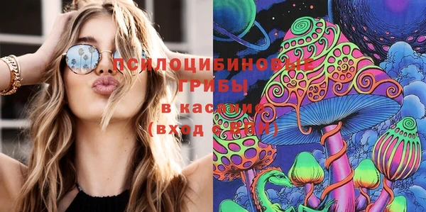 крисы Алексеевка