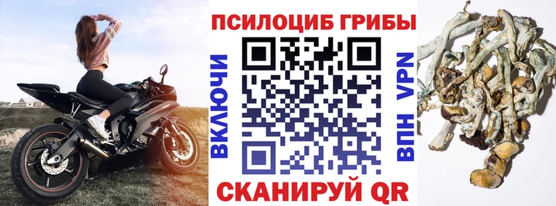 Псилоцибиновые грибы мицелий  Наволоки 
